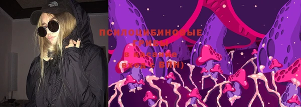 шишки Верея