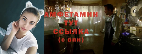 шишки Верея