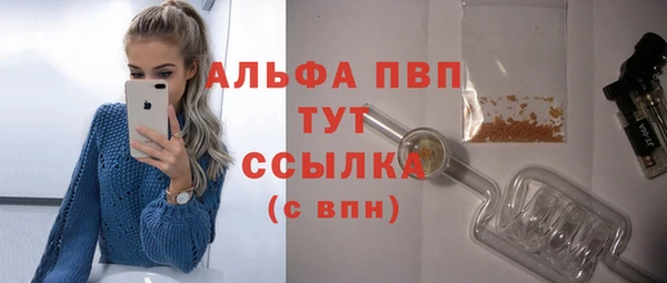 шишки Верея