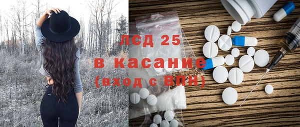 шишки Верея