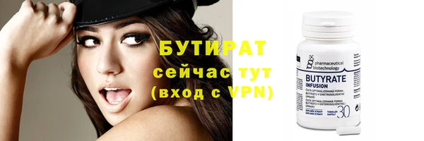 шишки Верея