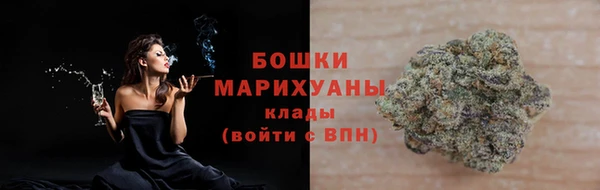 шишки Верея