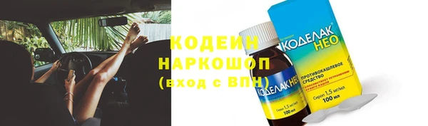 шишки Верея