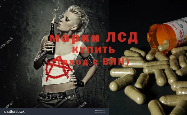 ГАЛЛЮЦИНОГЕННЫЕ ГРИБЫ Строитель
