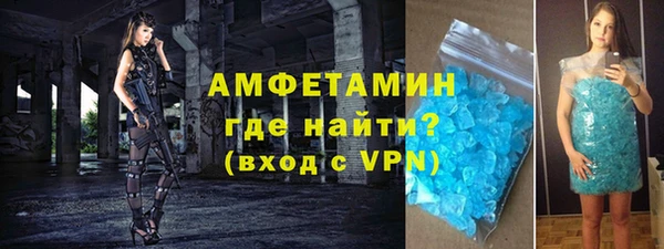 шишки Верея
