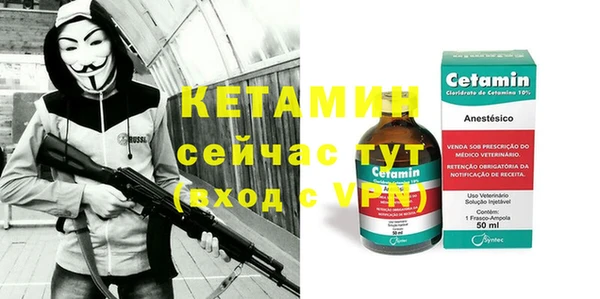 шишки Верея