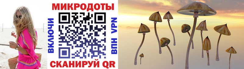 Псилоцибиновые грибы ЛСД  Казань 